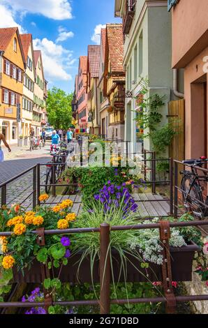 Tübingen, Baden-Württemberg, Deutschland: Straßenszene in der Ammergasse mit Passanten und Geschäften sowie bunten Blumendekorationen. Stockfoto