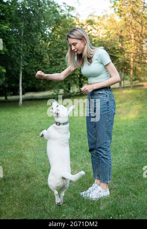 Frau spielt mit einer Hunderasse Jack Russell Terrier Stockfoto