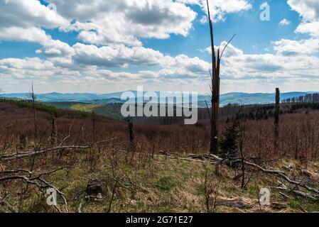 Blick von der kleineren Waldlichtung am Gipfel des Javornik-Hügels in den Biele Karpaty-Bergen an der slowakischen - tschechischen Grenze während eines schönen Frühlingstages Stockfoto