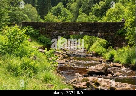 Ein Blick auf eine Steinbrücke über einen felsigen Bach mit viel Grün am Ufer entlang mit einem Mann, der auf der Brücke steht Stockfoto