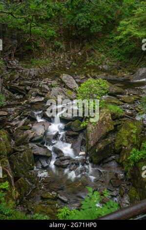 Ein Blick auf einen schönen Bach, der mit einer langen Exposition aufgenommen wurde, um das Wasser im Brecon Beacons National Park seidig glatt zu machen. Stockfoto