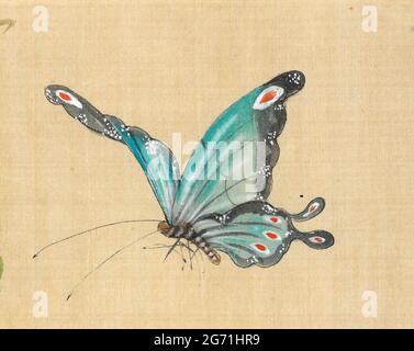Blauer Pfauenschmetterling im Flug, chinesische Malerei auf Seide. Stockfoto