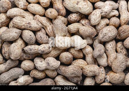 Organische Erdnüsse in Schale . Erdnusshaufen aus der Nähe. Stockfoto