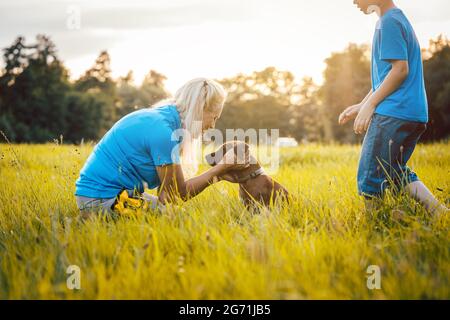 Familie mit Hund in der Natur bei Sonnenuntergang Stockfoto