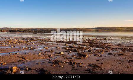 Kopfsteinpflaster, Schlamm und Seegras bei Ebbe an einem kalten Wintermorgen bei Sonnenaufgang, Dee-Mündung, Dhoon Bay, Kirkcudbright, Schottland Stockfoto