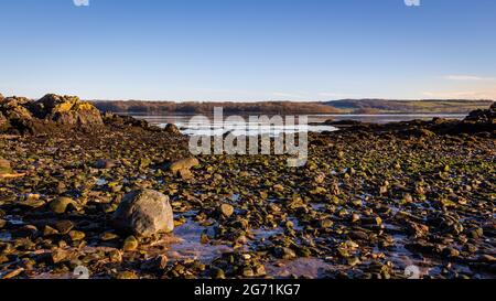 Boulder und Kopfsteinpflaster an einem Strand bei Ebbe an einem kalten Wintermorgen bei Sonnenaufgang, Dee-Mündung, Dhoon Bay, Kirkcudbright, Schottland Stockfoto