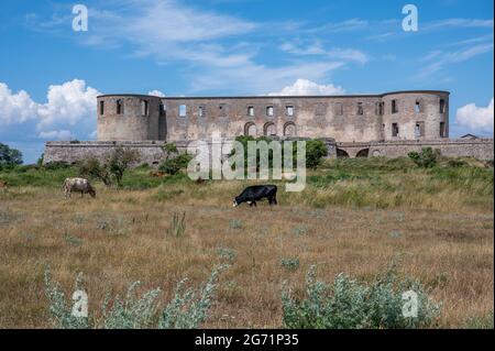 Burgruine Borgholm auf der schwedischen Ostseeinsel Öland. Die Burg stammt aus dem 13. Jahrhundert, wurde aber Anfang des 16. Jahrhunderts ruiniert. Stockfoto