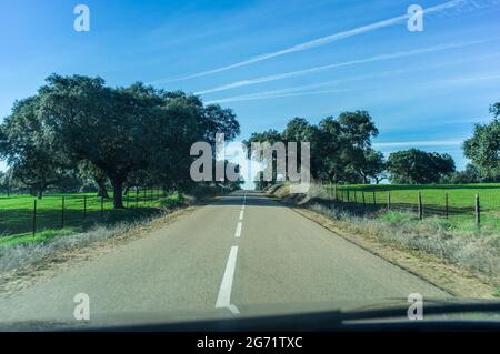 Allein durch Eichenwälder aus extremaduran dehesas der Sierra de San Pedro fahren. Bewegungsunschärfe Stockfoto