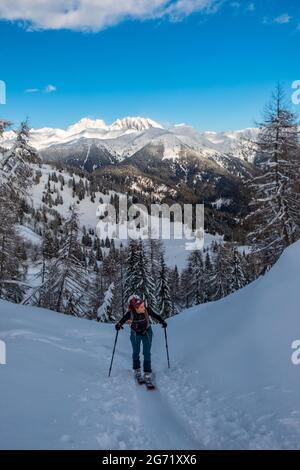 Auf dem Berg Zoncolan, Karnischen alpen nach einem großen Schneefall. Provinz Udine, Region Friaul-Julisch Venetien, Italien Stockfoto
