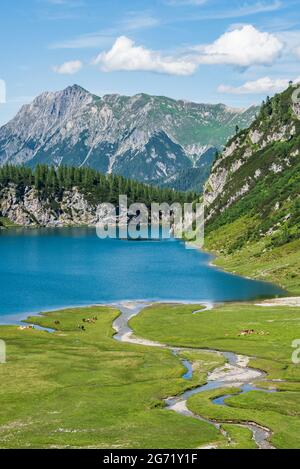 Eine Herde von Pferden und Kühen, die auf einer Almwiese am Ufer eines Bergsees und am Fuße eines hohen Berges grasen Stockfoto