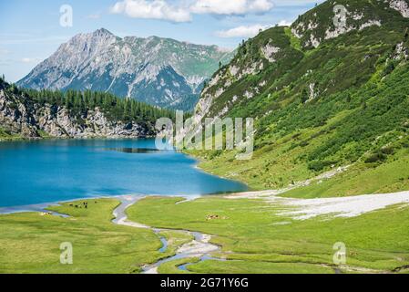 Eine Herde von Pferden und Kühen, die auf einer Almwiese am Ufer eines Bergsees und am Fuße eines hohen Berges grasen Stockfoto