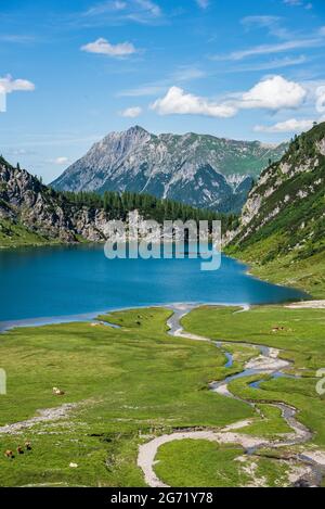 Eine Herde von Pferden und Kühen, die auf einer Almwiese am Ufer eines Bergsees und am Fuße eines hohen Berges grasen Stockfoto