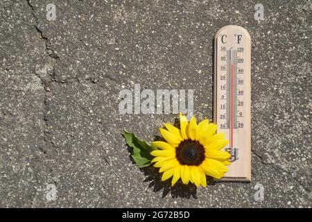 Thermometer auf Betongrund mit hoher Temperatur. Sommerhitze-Konzept Stockfoto