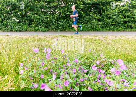 Shoeburyness, Essex, Großbritannien. Juli 2021. Aufgrund der COVID-19-Pandemie wurde der Triathlon 2020 verschoben, um wieder zurückzukehren, da die Beschränkungen für 2021 aufgehoben werden. Die Wettkämpfer, die im Shoeburyness-Gebiet östlich von Southend on Sea stattfinden, begannen den Wettbewerb mit einem 750-Meter-Schwimmen in der Themse-Mündung, bevor sie mit ihren Fahrrädern eine 20km-Fahrt durch Landstraßen und einen 5km-Lauf im Gunners Park an der Küste zurücknahmen Seine imposanten Verteidigungsstrukturen im Krieg. Das ehemalige Mod-Gebiet ist heute ein Naturschutzgebiet und beliebtes Wandergebiet. Männlicher Läufer, der durch die Büsche läuft Stockfoto