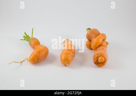 Drei isolierte, witzig geformte, frische Baby-Karotten auf einer weißen Oberfläche Stockfoto