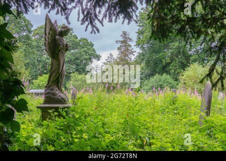 Engelsstatue auf dem alten Friedhof von Southampton Stockfoto