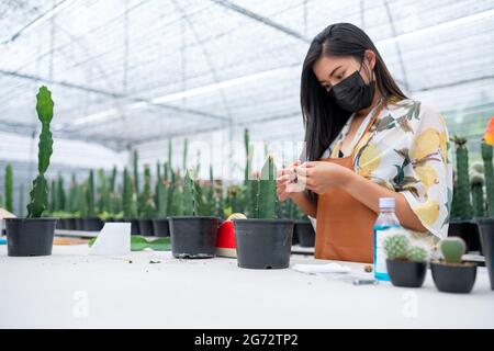 Asiatische junge Frau trägt Maske und Graph Kaktus in der Gewächshaus-Farm Stockfoto