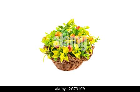 Zusammensetzung aus künstlichen Zweigen und Früchten in einem Korb isoliert auf weißem Hintergrund. Soace kopieren. Stockfoto