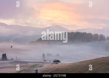 Mystische neblige Sonnenaufgangslandschaft der berühmten Almwiese in den Dolomiten Alpen auf bewölktem Hintergrund Stockfoto