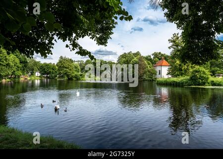 Schöne Aussicht auf Teich in Zwierzyniec, Roztocze, Polen. Park und berühmte St. John's of Nepomuk Kirche auf der Insel im Hintergrund. Gruppe der Schwäne i Stockfoto