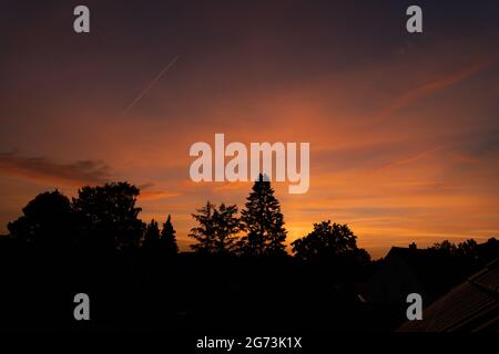 Orange Sonnenuntergang mit einem schönen Baum Silhouette vor blauer Stunde. Stockfoto