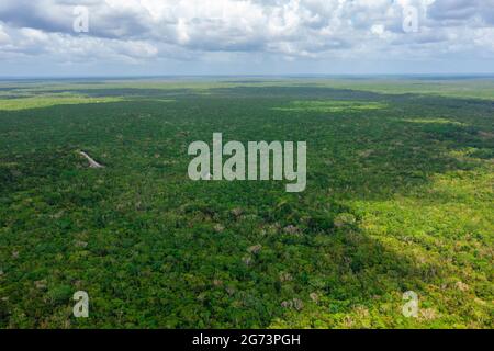 Luftaufnahme der Maya-Pyramide, die mitten in einem Dschungel verloren ging. Stockfoto