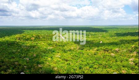 Luftaufnahme der Maya-Pyramide, die mitten in einem Dschungel verloren ging. Stockfoto