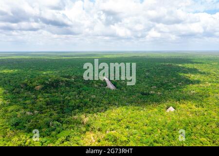 Luftaufnahme der Maya-Pyramide, die mitten in einem Dschungel verloren ging. Stockfoto