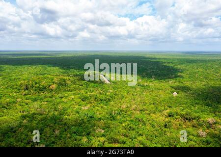 Luftaufnahme der Maya-Pyramide, die mitten in einem Dschungel verloren ging. Stockfoto