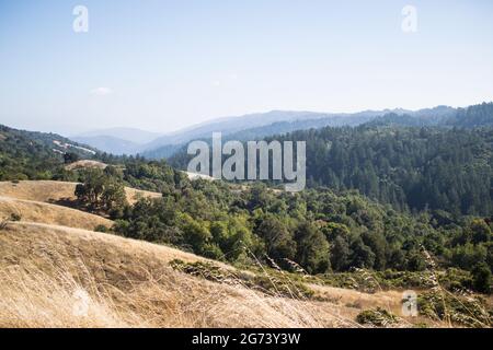 Blick auf die Berge und das Tal von Santa Cruz vom Monte Bello Preserve (Los Altos), blauer Himmel, verträumter Dunst, Bäume, Gräser, Berge, Tal Stockfoto