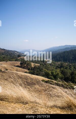 Blick auf die Berge und das Tal von Santa Cruz vom Monte Bello Preserve (Los Altos), blauer Himmel, verträumter Dunst, Bäume, Gräser, Berge, Tal Stockfoto