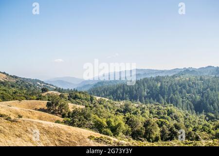 Blick auf die Berge und das Tal von Santa Cruz vom Monte Bello Preserve (Los Altos), blauer Himmel, verträumter Dunst, Bäume, Gräser, Berge, Tal Stockfoto