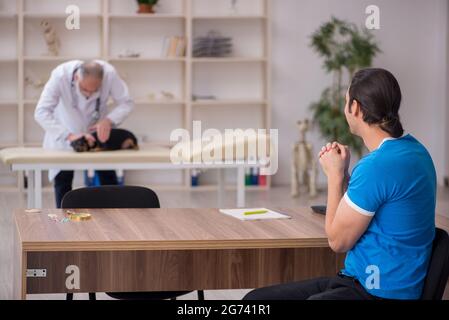 Alter Tierarzt untersucht Hund in der Klinik Stockfoto