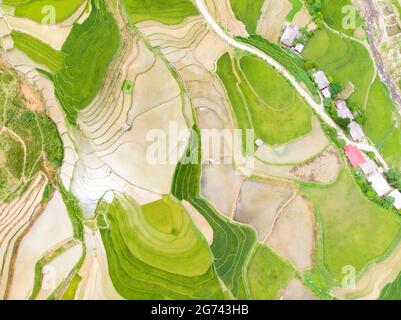 Schöne Reisterrasse im nördlichen TU Le Tal Vietnam Stockfoto