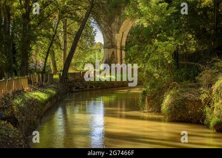 Wald um Cal Forcada Firmenstadt in Navàs, neben dem Fluss Llobregat (Navàs, Barcelona, Katalonien, Spanien) ESP: Entornos de bosque en Navàs Stockfoto