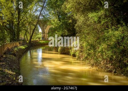 Wald um Cal Forcada Firmenstadt in Navàs, neben dem Fluss Llobregat (Navàs, Barcelona, Katalonien, Spanien) ESP: Entornos de bosque en Navàs Stockfoto