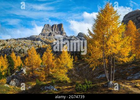Atemberaubende alpine Herbstlandschaft mit bunten Lärchenbäumen und hohen Berggipfeln im Hintergrund, Dolomiten, Italien, Europa Stockfoto