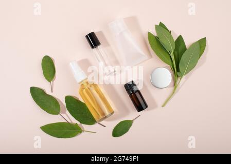 Kosmetische Behälter und Kräuter Salbei Blätter auf hellem Hintergrund flach Lay Draufsicht. Modell mit KOSMETIKARTIKELN IM SPA-Bereich. Bio-Beauty-Produktkonzept. Stockfoto