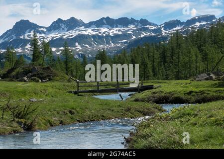Kleine Brücke über den Fluss in wunderschöner alpiner Landschaft, Rio de Buscagna in italienischen alpen Stockfoto