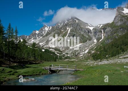 Kleine Brücke über den Fluss in wunderschöner alpiner Landschaft, Rio de Buscagna in italienischen alpen Stockfoto