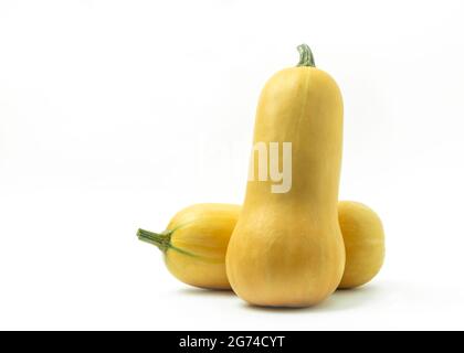Frischer Bio-Butternut-Kürbis auf weißem Hintergrund Stockfoto