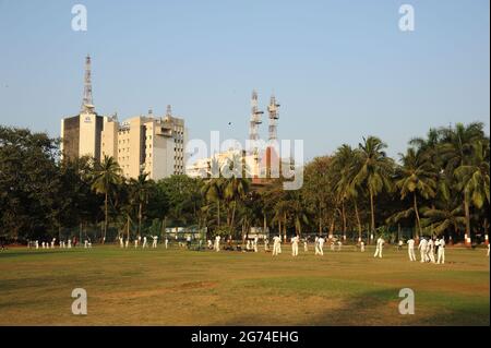 Mumbai; Maharashtra; Indien-Asien; Feb.- 2015 : Cricket spielende Menschen; Oval Maidan; Oval Maidan ist wegen seiner ovalen Form benannt und befindet sich im Jus Stockfoto