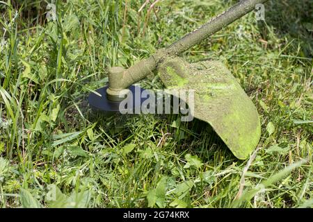 Ein Handmäher mäht das Gras im Sommer im Garten. Für einen Gartengerätladen. Stockfoto