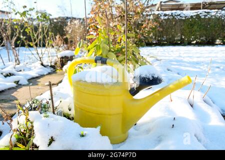 Im Winter steht im verschneiten Garten eine gelbe Gießkanne Stockfoto