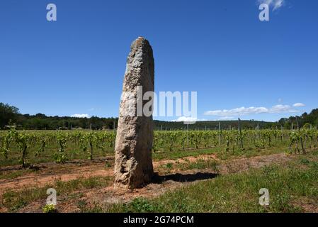 Stall oder Menhir in den Weinbergen der Cabasse Var Provence Francehir Cabasse Stockfoto