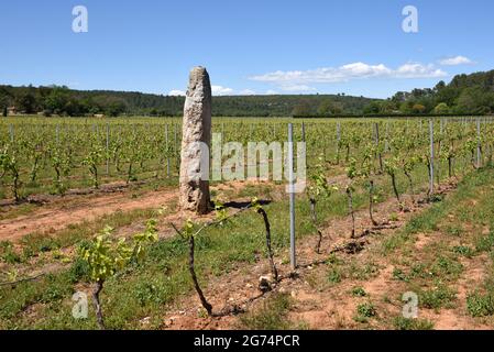 Stall oder Menhir in den Weinbergen der Cabasse Var Provence Francehir Cabasse Stockfoto