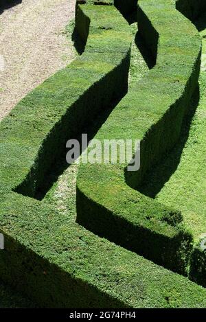 Geometrische Muster von topiarischen Hecken oder beschnittenen Hecken im Garten Formel Le Nôtre oder den Entrecasteaux-Gärten in der Var Provence Frankreich Stockfoto