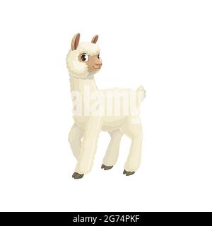 Lama Kameltier Säugetier mit weißer Wolle, niedlichen Bauernhof Lama Tier isoliert flache Cartoon-Ikone. Vector Alpaca, Guanaco Lama mit pelzigen Gesicht und Ohren, lange ne Stock Vektor