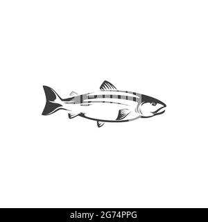 Hering oder Seebuckel, Maskottchen der Forellenfischfischfischfischerei, Süßwasser-Tier isoliert monochrome Ikone. Vector Fisch Chum oder rosa Lachs, Sockeye Meeresfrüchte. Fisch Stock Vektor