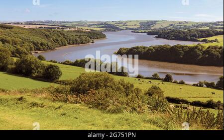 Biegungen in den 72 Kilometer langen Fluss Bandon, wie es nähert sich Kinsale, County Cork, Republik Irland. Stockfoto